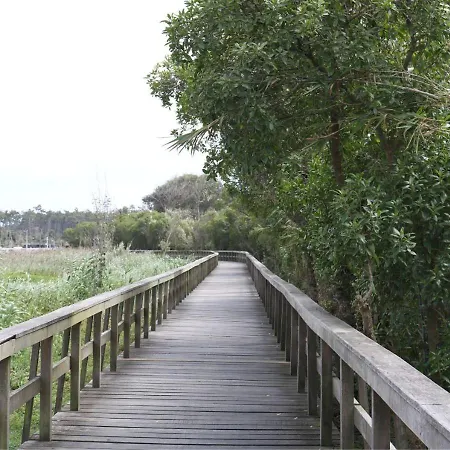 Greenside Of Sea
