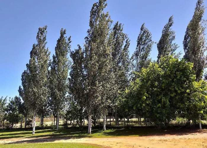 Greenside Of Sea بيت شباب *