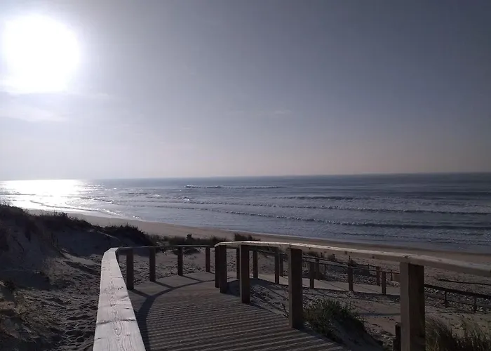 بيت شباب Greenside Of Sea