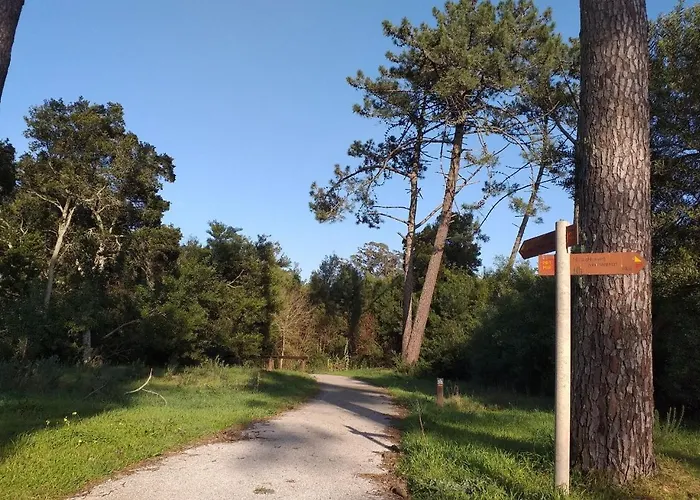 Greenside Of Sea * Corujeira (Coimbra)