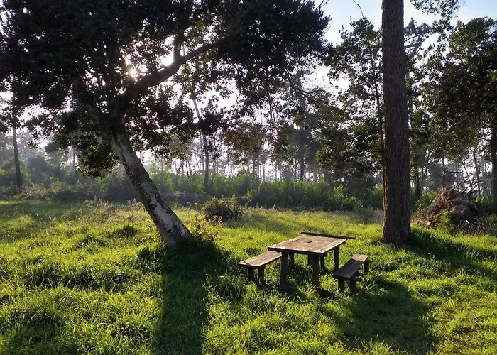 Greenside Of Sea بيت شباب