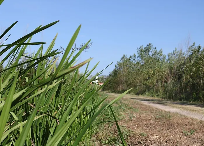 بيت شباب Greenside Of Sea