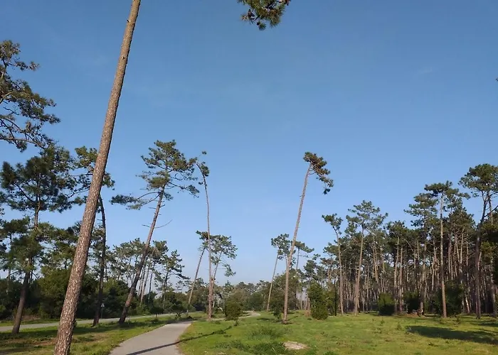 Greenside Of Sea بيت شباب