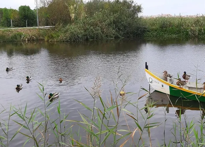 Greenside Of Sea Corujeira (Coimbra)
