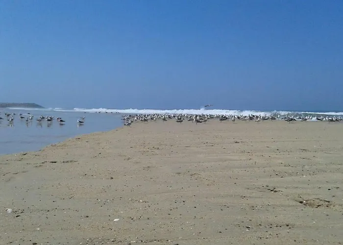 بيت شباب Greenside Of Sea Corujeira (Coimbra)
